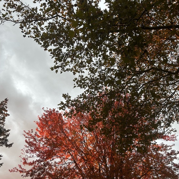 Meet your Posher, Randip - Picture 1 of 1